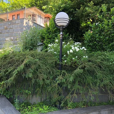 Linden Tree Apartment *